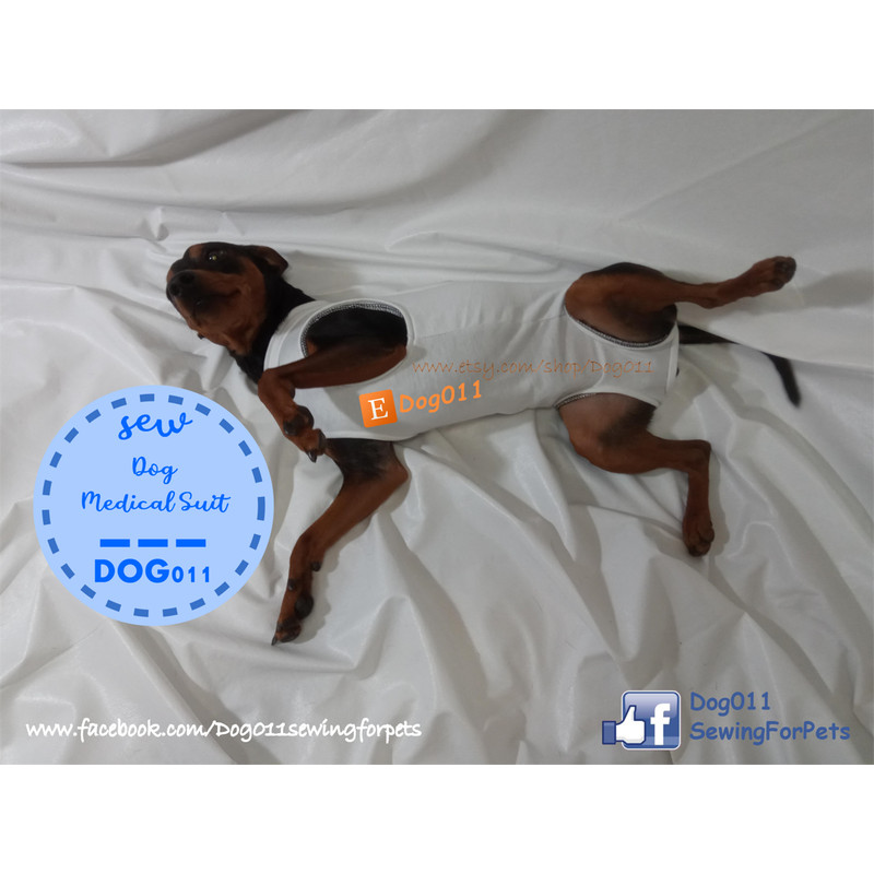 Etsy Shop Dog011 - medical suit - 003.png