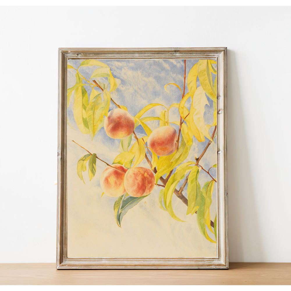 vintage peaches wall art print.jpg