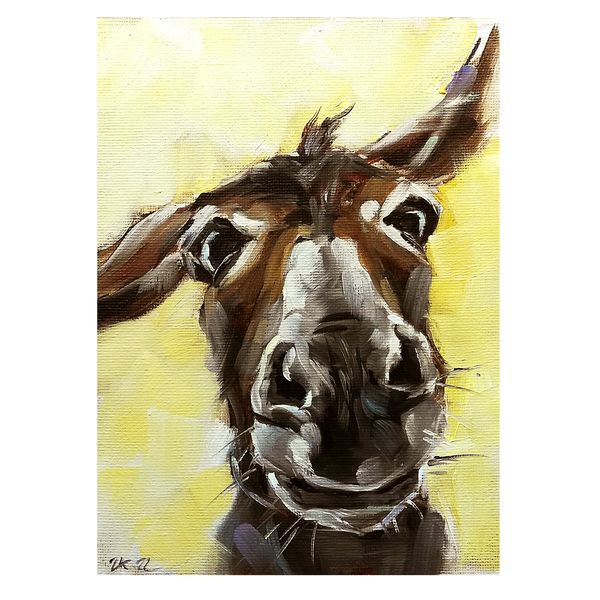 donkey 06.jpg