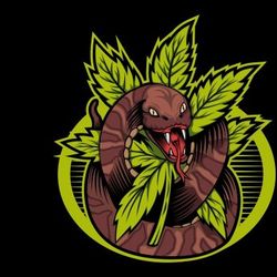 cannabis snake vector design illustration