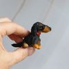 miniature-Dachshund-realistic-figurine.jpg