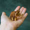 miniature-mammoth-figurine-in-hand.jpg