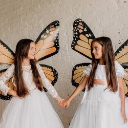Fairy costume  butterfly wings costume adult  elf wings butterfly fairy wings fantasy Halloween fantasy  magical fairy