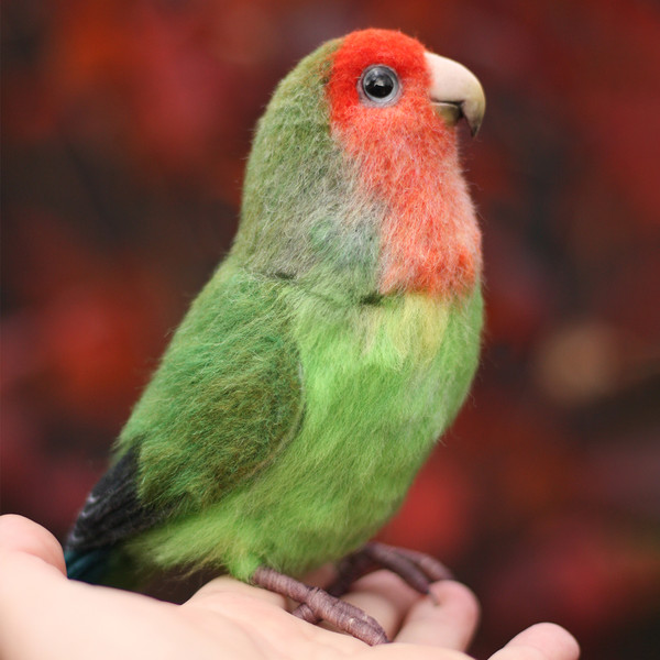 Felted red-cheeked lovebird_Realistic toy bird parrot_Needle felting art doll animal (0).jpg