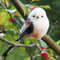 Felted realistic bird toy long-tailed tit.jpg