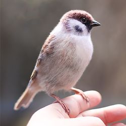 Felted original bird toy Felt collectable sparrow art miniature