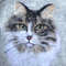 D Cat-portrait-patch-from-photo-of-your-pet-from-wool