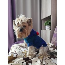 Clothes for small dogs, hooded sweater