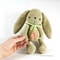 bunny-crochet-pattern-1.jpg