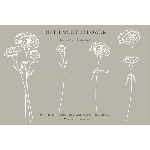 Carnation Birth Month Flower SVG files Clipart January Birth | Inspire ...
