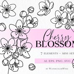 cherry blossom birth month flower svg files march birthday flower clipart for instant download