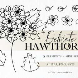 Hawthorn Birth Month Flower SVG files May Birthday Flower Clipart For Instant Download