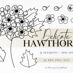 hawthorn birth month flower svg files may birthday flower clipart for instant download