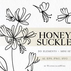 Honeysuckle Birth Month Flower SVG files June Birthday Flower Clipart For Instant Download