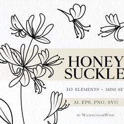 honeysuckle birth month flower svg files june birthday flower clipart for instant download