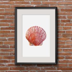 Seashell Scallop Watercolor illustration for printing Poster A2 Marine clipart Seashell on transparent background