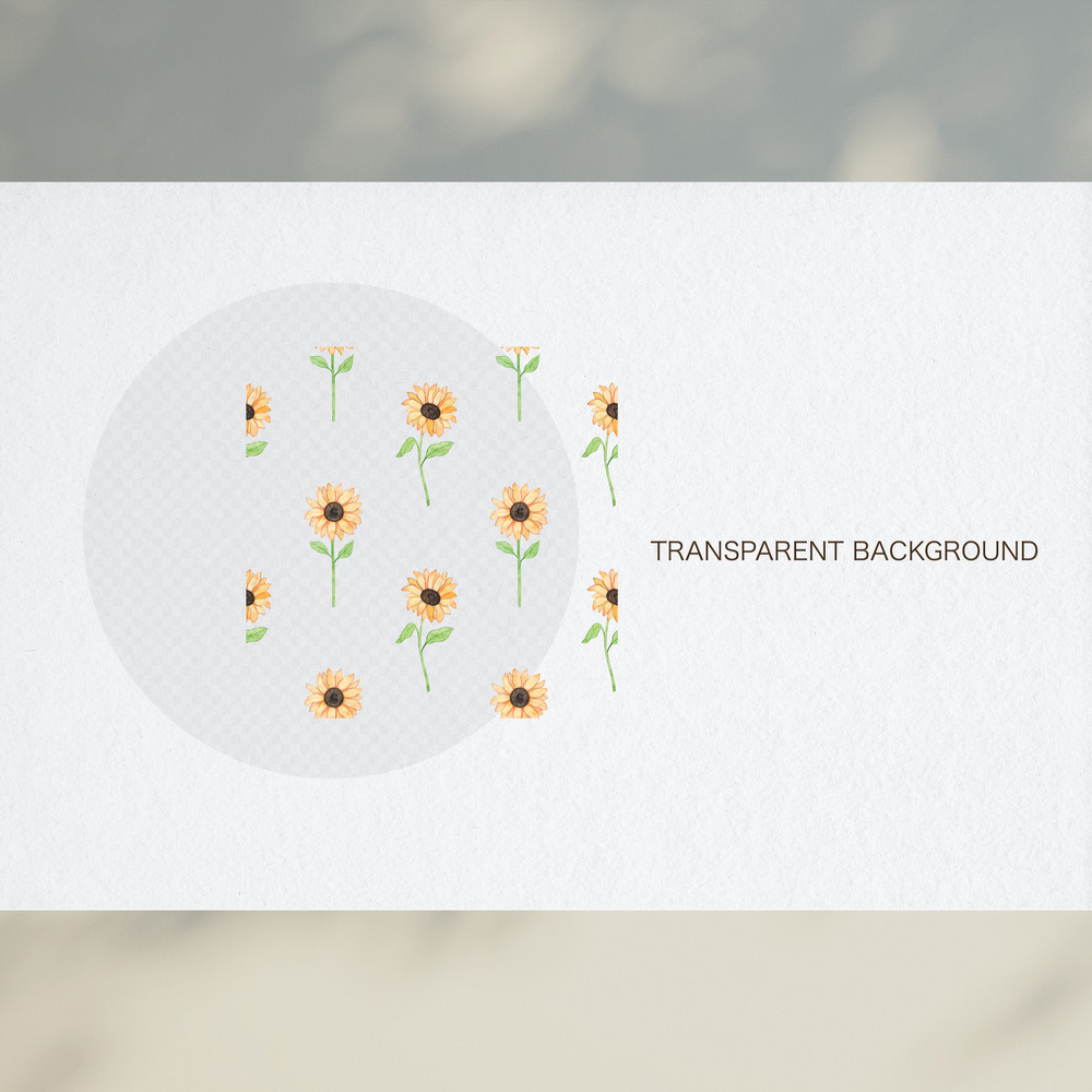 Custom Preset 2 Copy 2.jpg