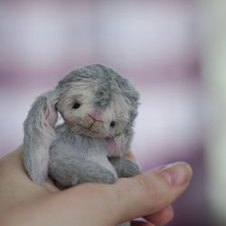 Miniature teddy bunny cute grey