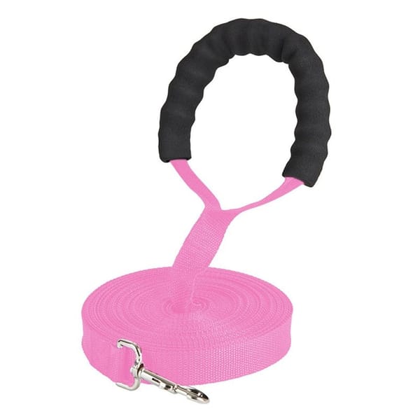 5ft Slip Lead Dog Leash – Nylon Rolled Rope For Training, Walking & Recall (Fits Small To Medium Breeds)