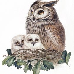 owl watercolor print, owl art print, owl painting