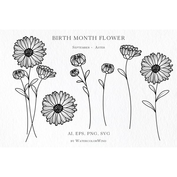 Aster Birth Month Flower SVG Files September Birthday Flower Inspire Aster birth month flower svg files september birthday flower inspire