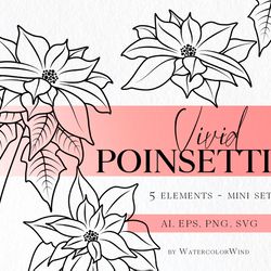 Poinsettia Birth Month Flower SVG files December Birthday Flower Clipart For Instant Download