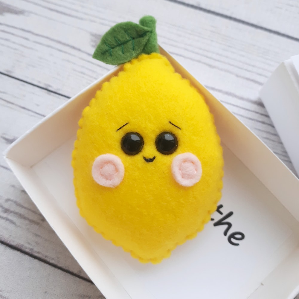 Fake-lemon-pocket-hug-3