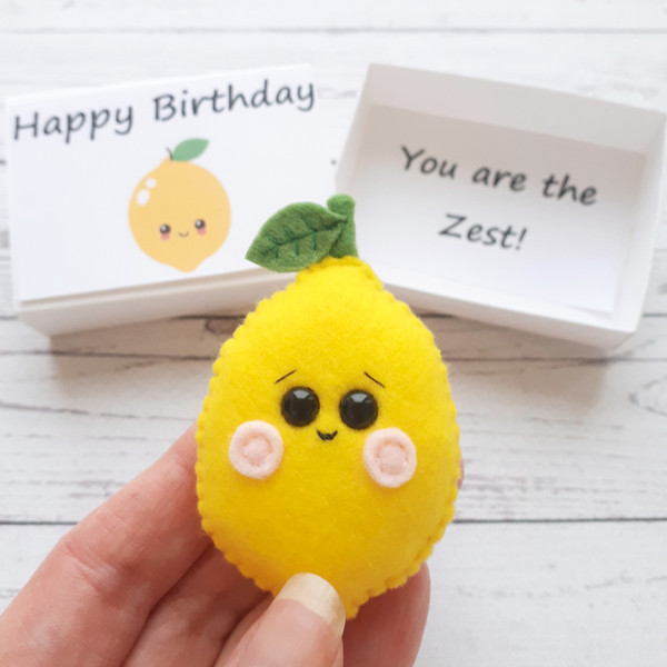 Fake-lemon-funny-birthday-gift-1