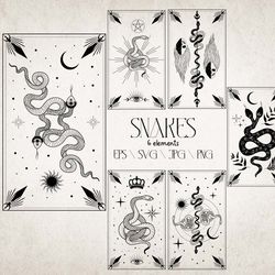 Snake Svg. Mystical cards with a snake. Tarot.