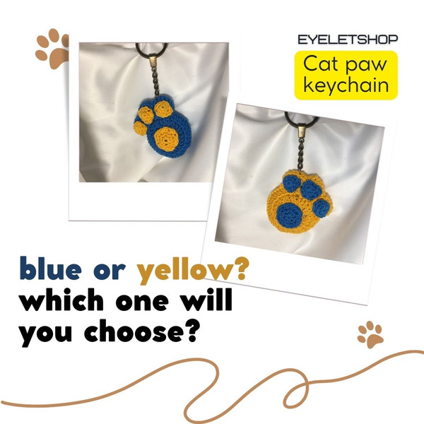 photo blue or yellow which one will you choose.jpg