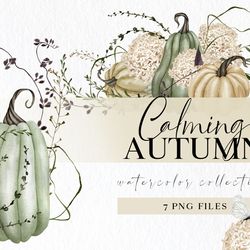 fall pumpkin clipart with wildflower png illustrations in neutral colors for instant download