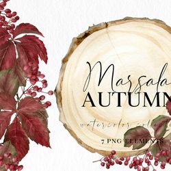 watercolor fall clipart in marsala colors with berries, leaves, wood slices