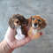 Custom-dog-portrait-from-photo-keychain-needle-felted-pet-from-wool
