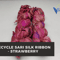 Sari Silk Ribbon - Sari Silk - Sari Ribbon - SilkRouteIndia (34).png
