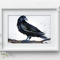 Crow 8x11 inch original watercolor raven art black bird aquarelle painting by Anne Gorywine