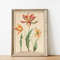 vintage tulip giclee print.jpg