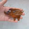 Needle felted cute wild boar piglet animal pin (5).JPG