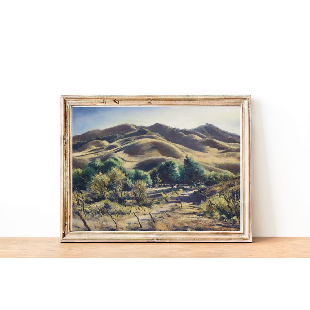 vintage California Hills home decor.jpg