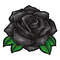 Black roses1.jpg