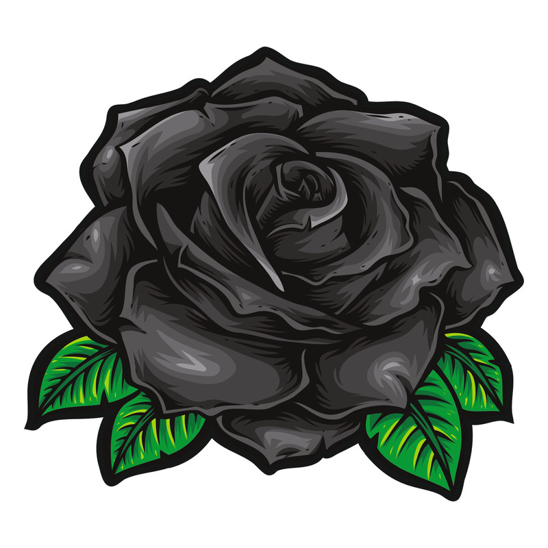 Black roses1.jpg
