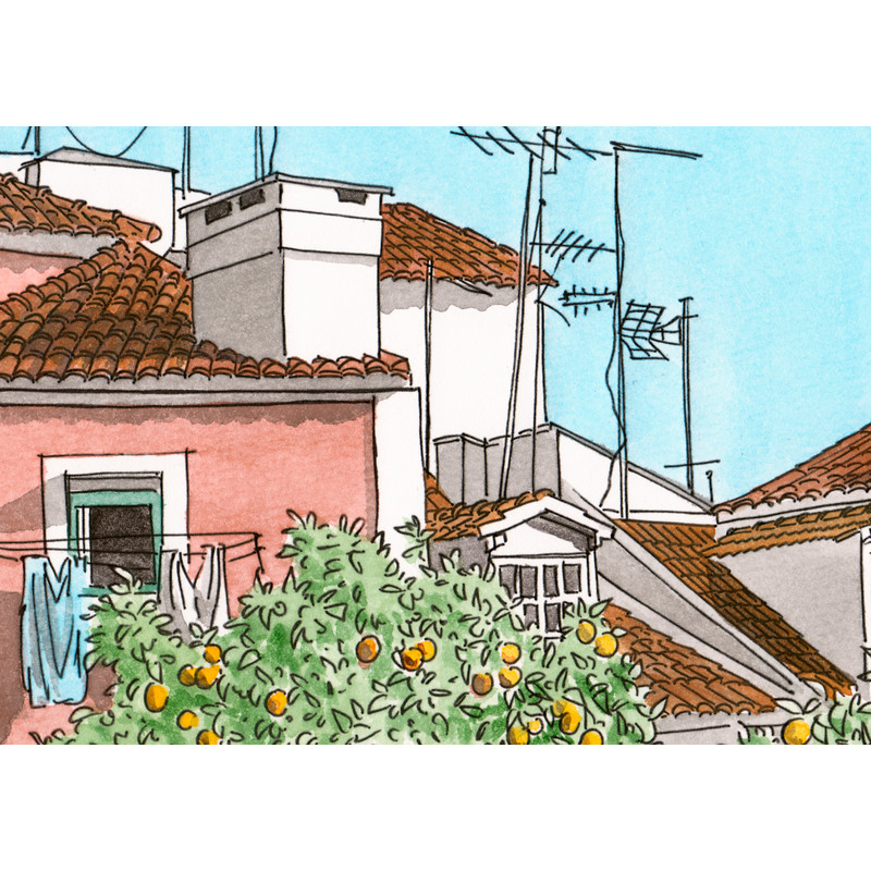 Крупный план.jpg