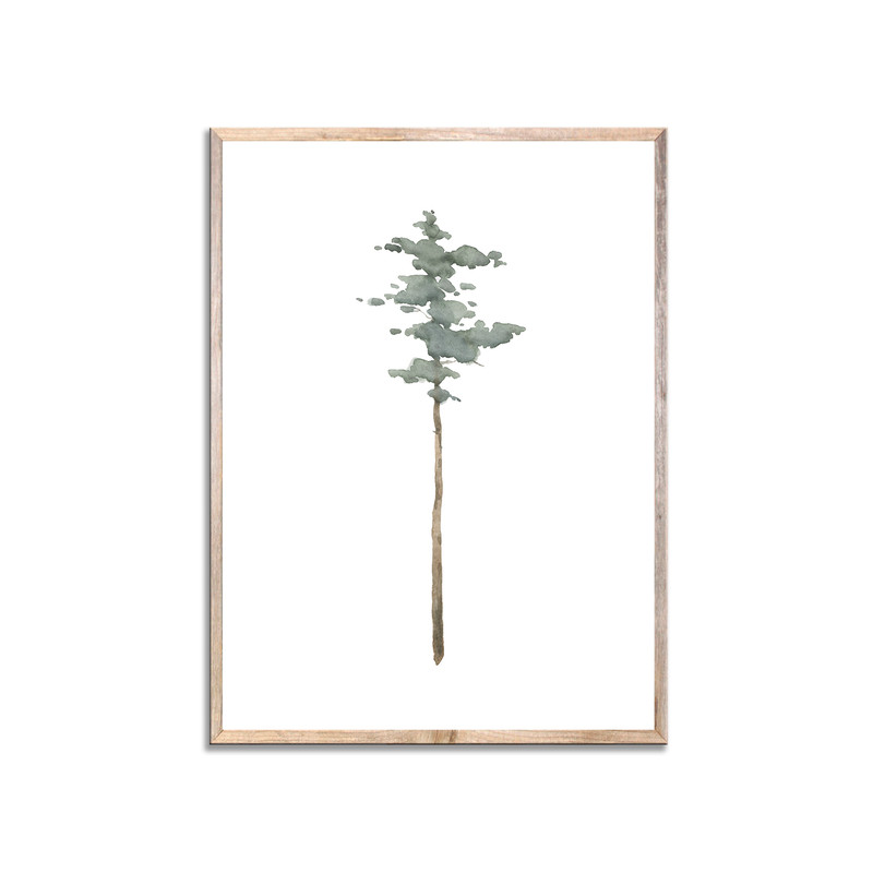 pine sage green заглавная.jpg