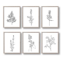 Plants Line Drawing Black And White Set Of 4 Prints Printable Wall Art Minimalist Art Botanical Line Art Plant Print