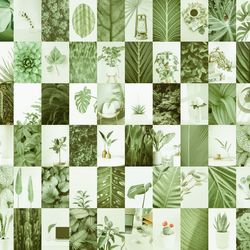 72 PCS Sage Green Wall Collage Kit DIGITAL DOWNLOAD | Trendy Aesthetic Photo Collage Kit | Boho Photo Wall Collage Set