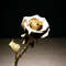 wooden rose.jpg