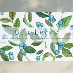 Watercolor Blueberry Clipart / Wild Forest Berries Illustration / Blueberry Branch / Hand Painted Berry PNG