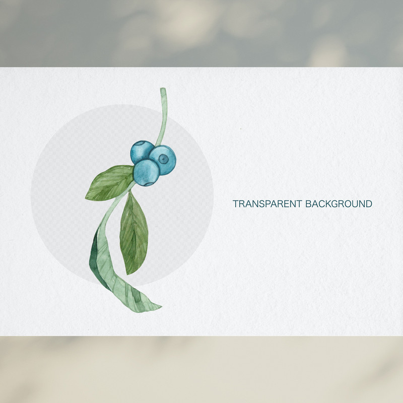 Watercolor blueberry 3.jpg