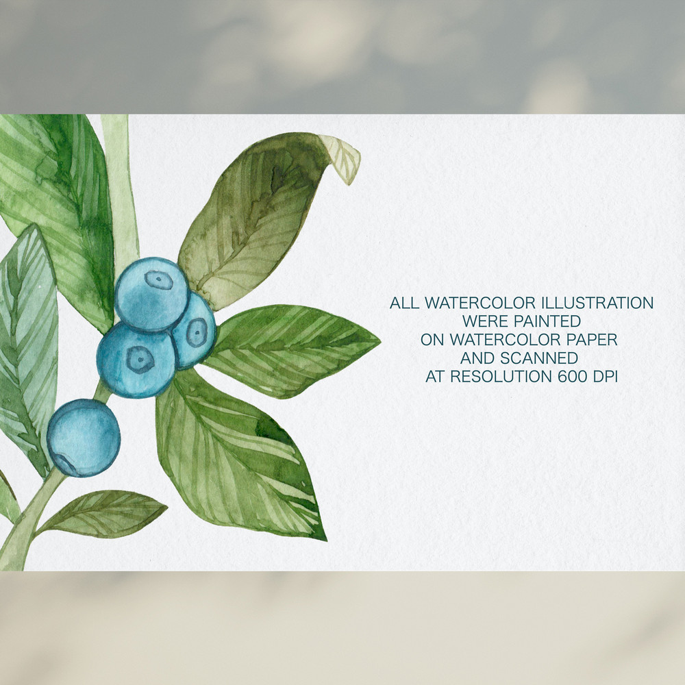 Watercolor blueberry.jpg