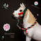 2-cristmas-schleich-horse-tack-accessories-model-toy-halter-and-lead-rope-custom-accessory-MariePHorses-Marie-P-Horses-quick.png