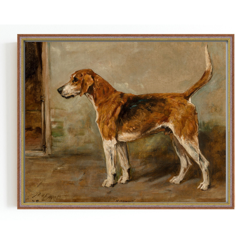dog portrait.jpg